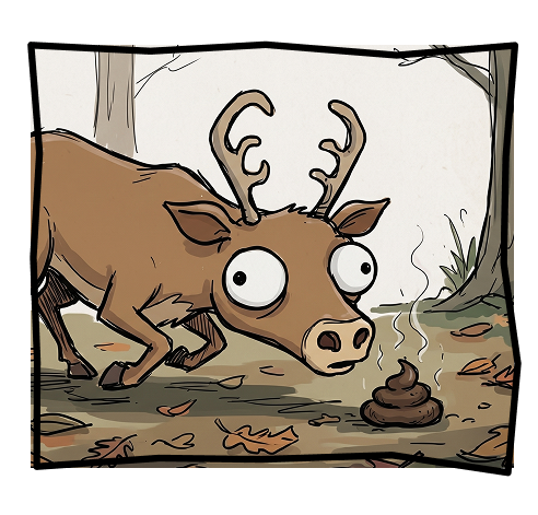 Der the deer sniffing something in the forest